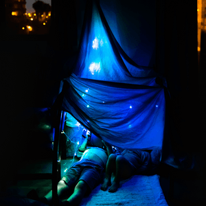 Fairy den
