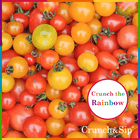 Red Cherry tomatoes 