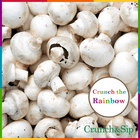 White Mushroom